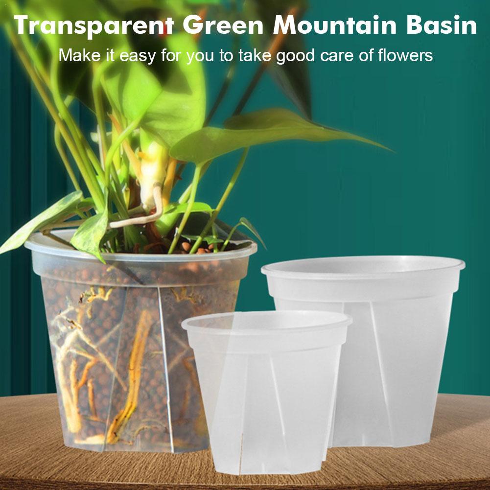 Aloe Vera Pot - Transparent Plastic Pots Root Control Flower