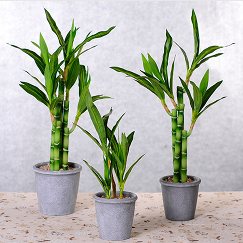 Mới 40Cm RFtificial May Mắn Tr - đánh giá và giá Dracaena Marginata
