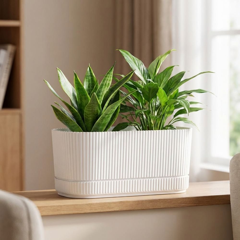 Plastic Self Watering Flower P - đánh giá và giá Aloe Vera Pot