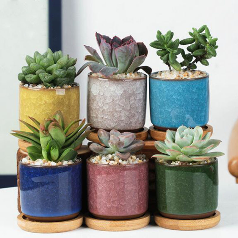 6pcs/set Ceramic Flowerpot Set - đánh giá và giá Aloe Vera Pot