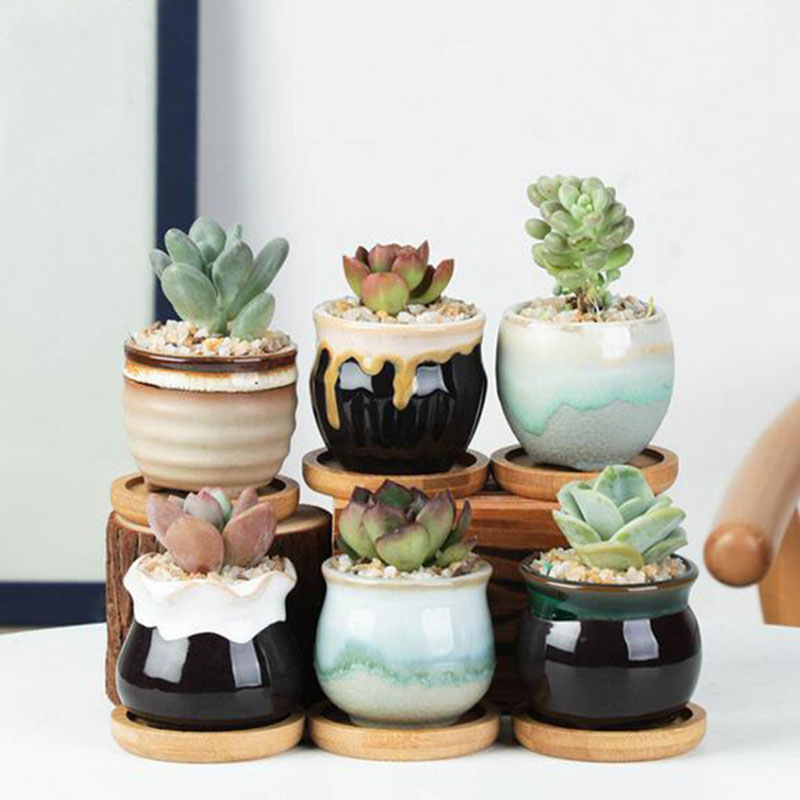 6pcs/set Ceramic Flowerpot Set - đánh giá và giá Aloe Vera Pot