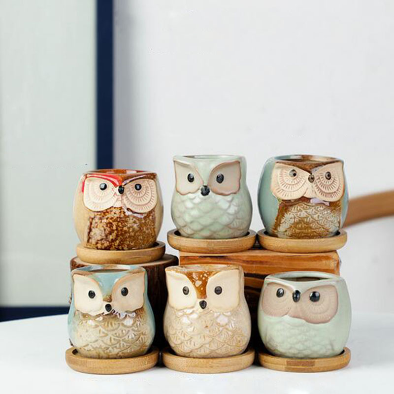 6pcs/set Ceramic Flowerpot Set - đánh giá và giá Aloe Vera Pot