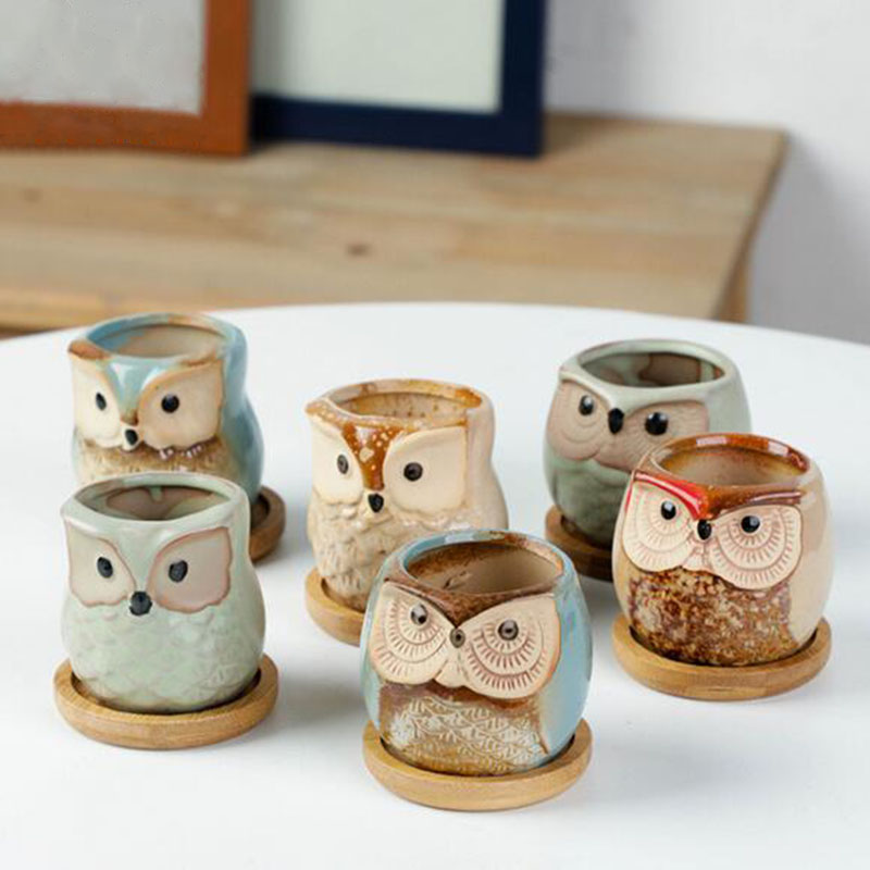 6pcs/set Ceramic Flowerpot Set - đánh giá và giá Aloe Vera Pot