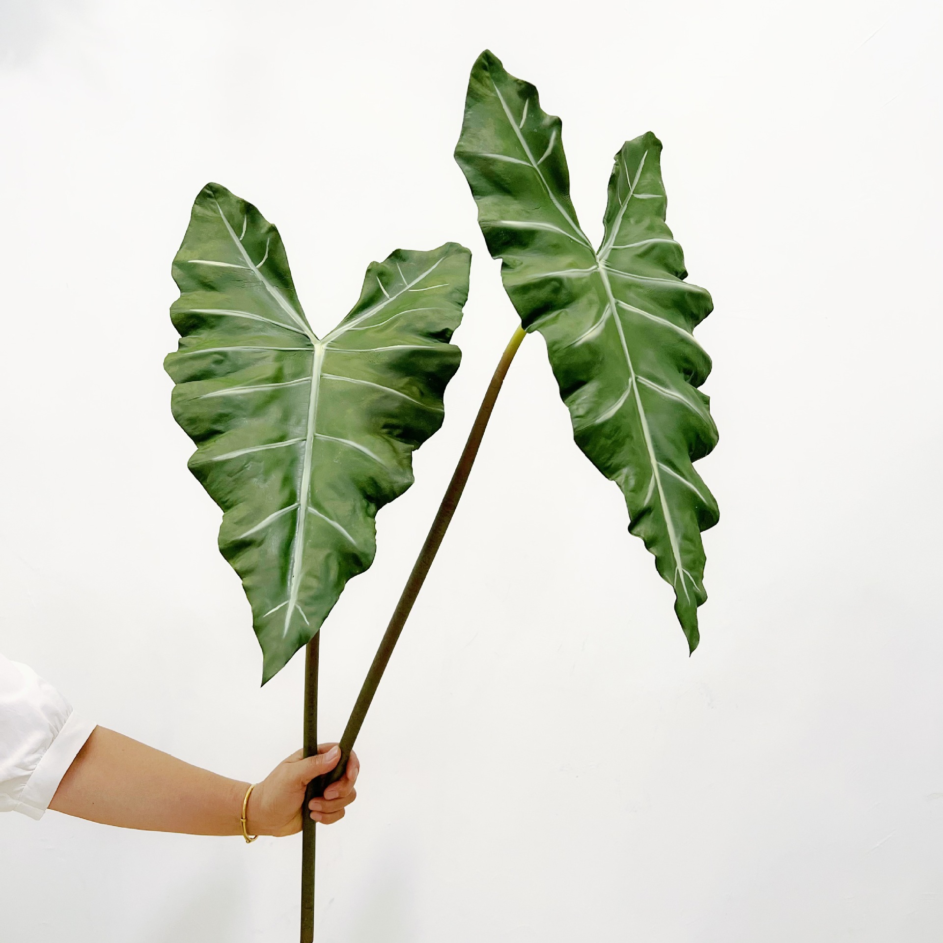 Simulated Long PU Hand-feel Gr - đánh giá và giá Dracaena Marginata