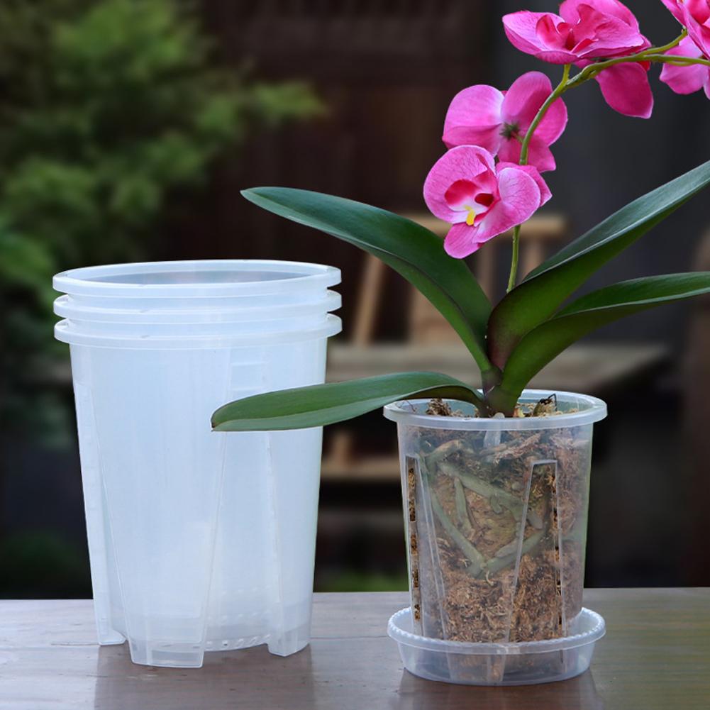 5PCS/Kit Clear Plastic Orchid  - đánh giá và giá Aloe Vera Pot