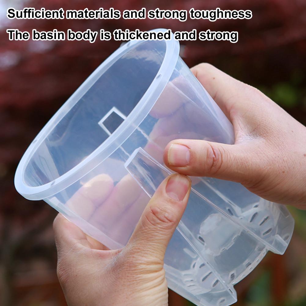 5PCS/Kit Clear Plastic Orchid  - đánh giá và giá Aloe Vera Pot